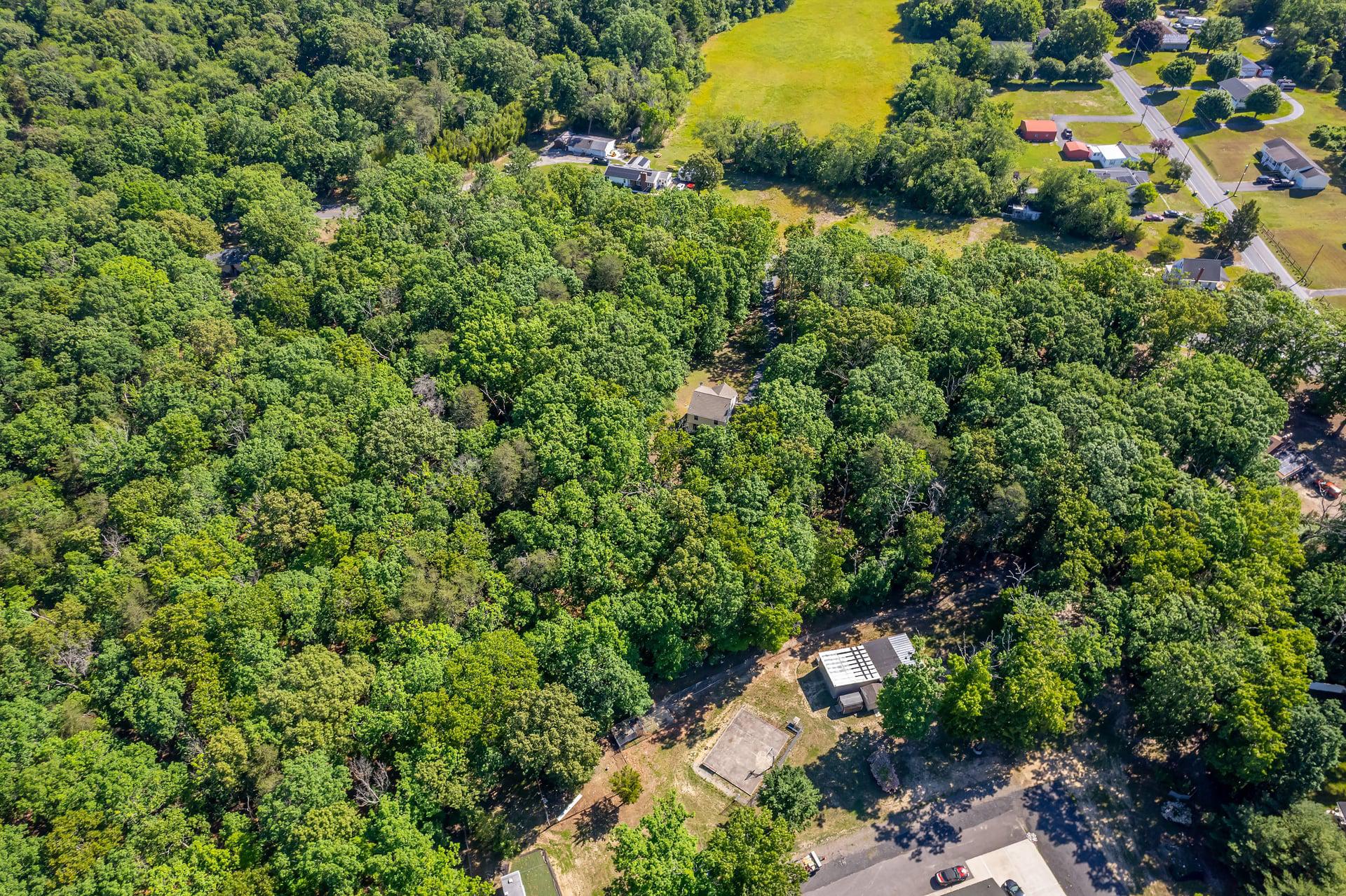 164 Clarks Pond Road Bridgeton, NJ 08302 - Photo 22 of 27 Lush greenery envelops hidden homes.