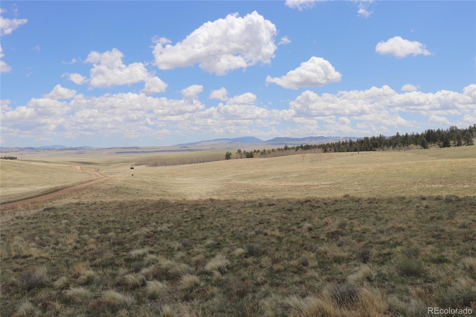 11633 Ranch Road Hartsel, CO 80449 - Photo 4 of 11 a view of an ocean