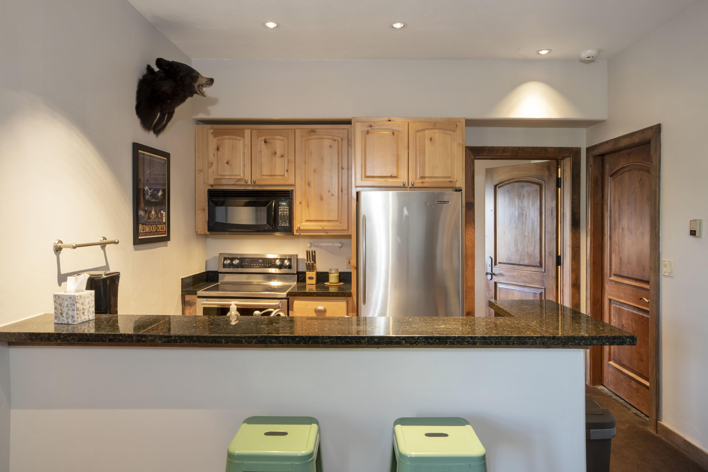 7039 Last Dollar Road Telluride, CO 81435 - Photo 32 of 52 a kitchen with stainless steel appliances a refrigerator and microwave