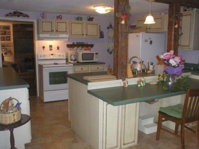 2477 Niles Ferry Road Madisonville, TN 37354 - Photo 4 of 15 04-Kitchen