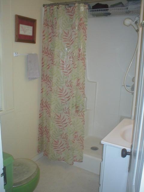 2477 Niles Ferry Road Madisonville, TN 37354 - Photo 7 of 15 07-Downstairfullbath