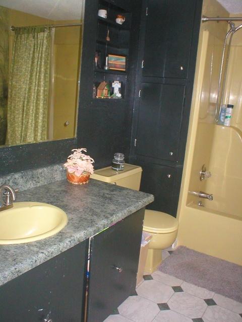 2477 Niles Ferry Road Madisonville, TN 37354 - Photo 10 of 15 10-Masterbathdwn