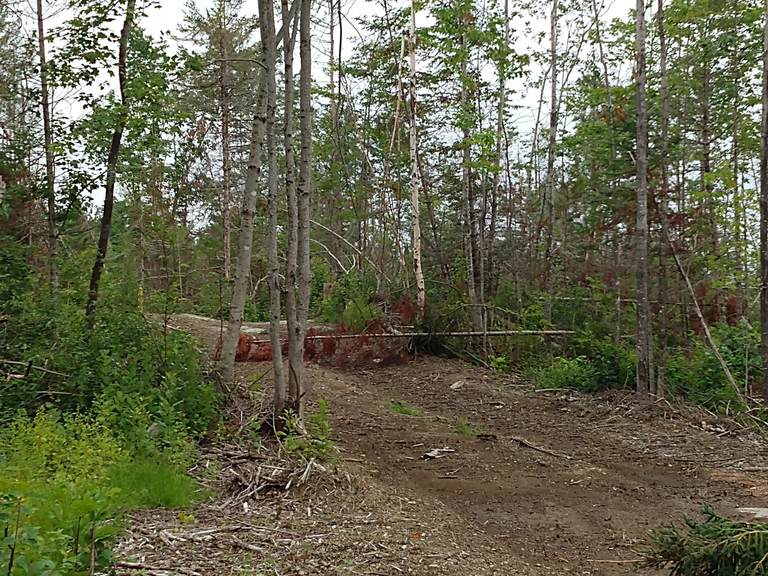 1 Hodgdon Mills Road Linneus, ME 04730 - Photo 3 of 11 IMG_20190819_160037470