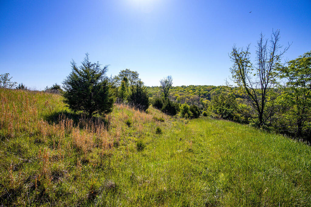 2300 Taft Highway Dry Ridge, KY 41035 - Photo 8 of 31