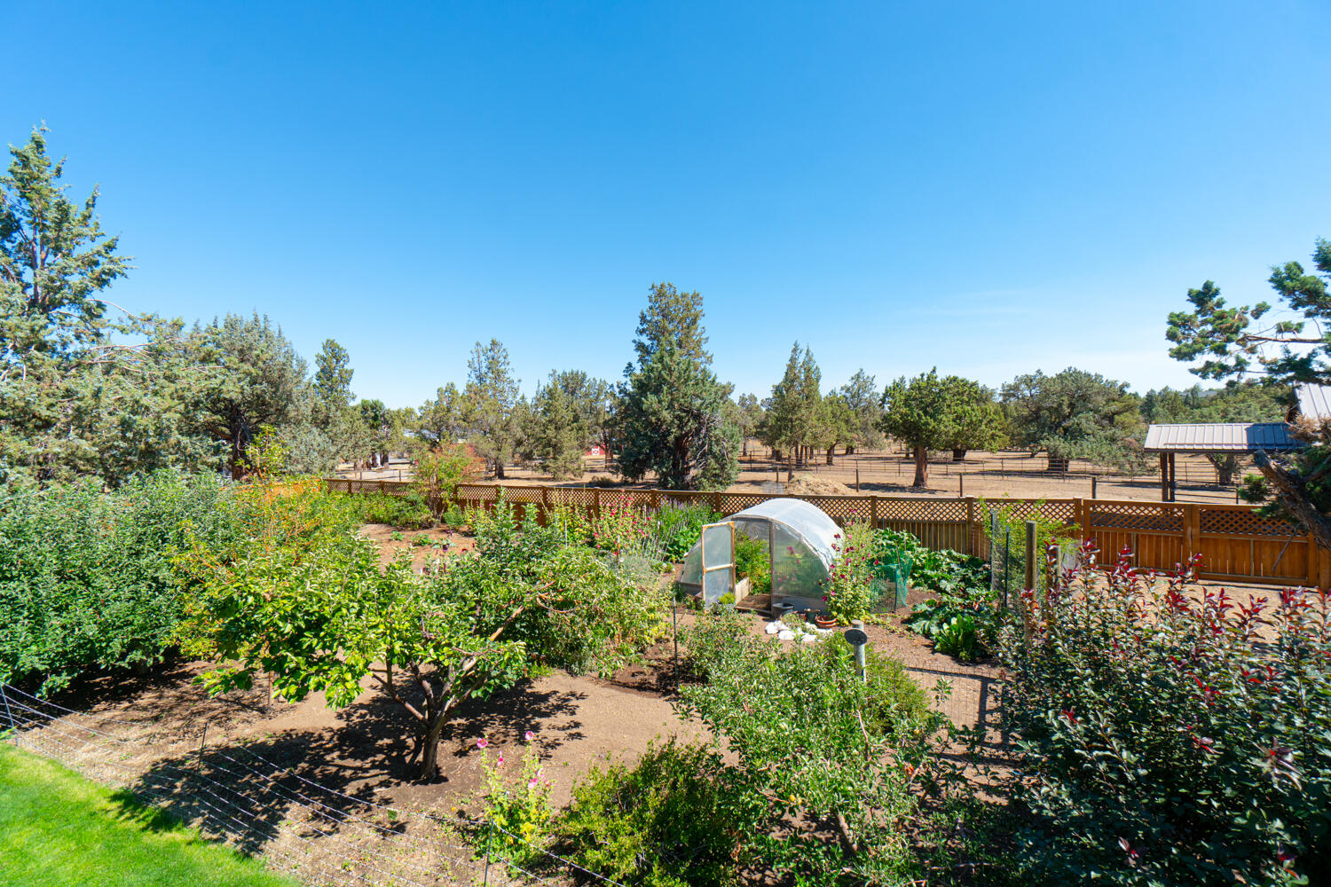 2218 Southwest 79th Street Redmond, OR 97756 - Photo 45 of 54 a view of river and trees in the background
