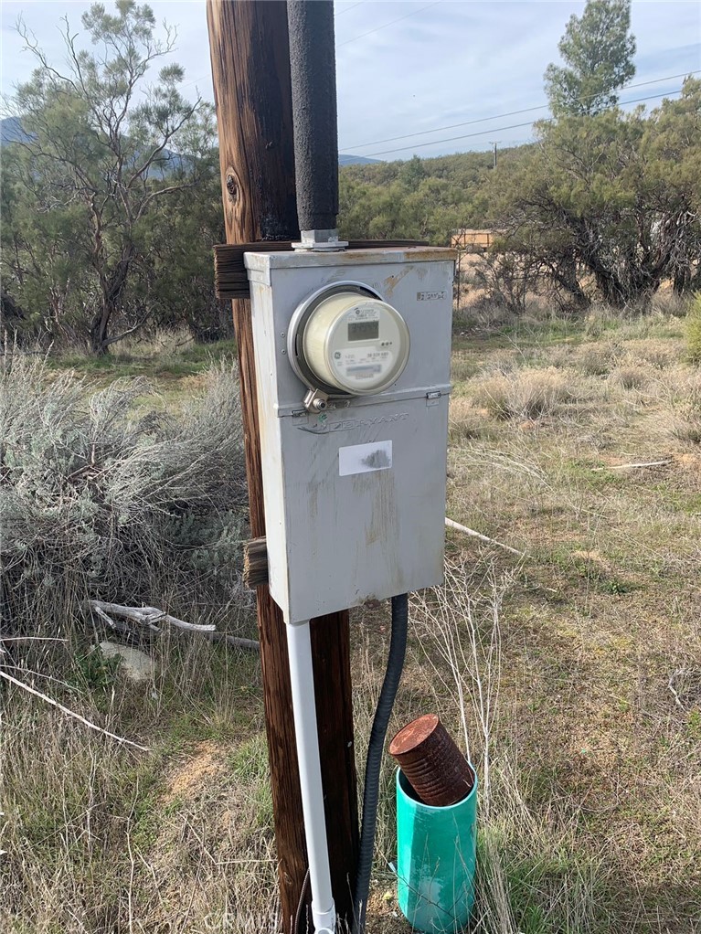 a view of a fountain in the backyard