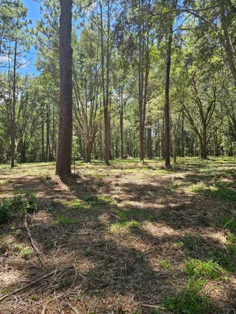$349,000 | 0 Carmel Drive, Tallahassee, FL 32309