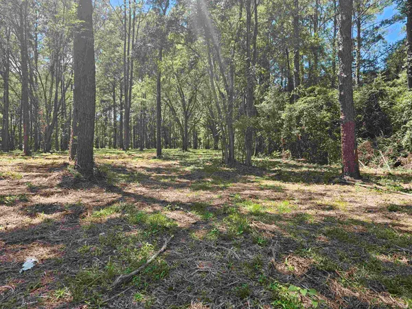 $349,000 | 0 Carmel Drive, Tallahassee, FL 32309