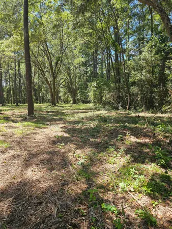 $349,000 | 0 Carmel Drive, Tallahassee, FL 32309