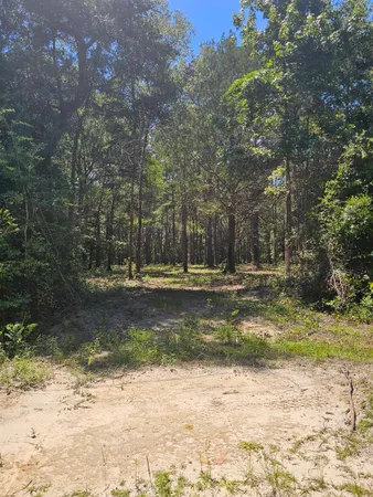 $349,000 | 0 Carmel Drive, Tallahassee, FL 32309