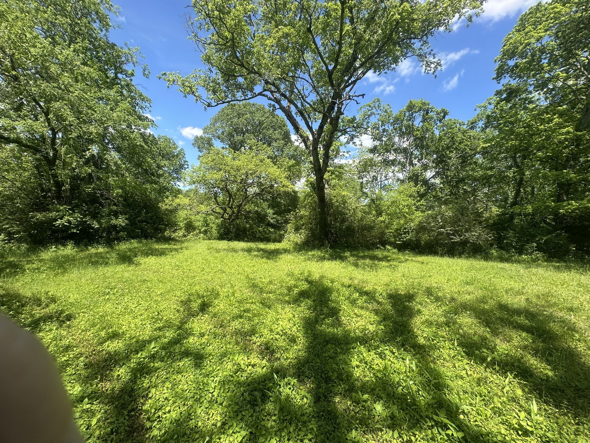 0 Greens Mill Road Spring Hill, TN 37174 - Photo 2 of 9