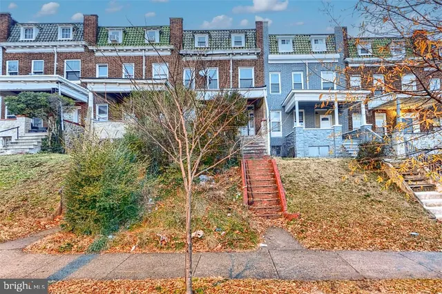 a view of a yard with plants and trees