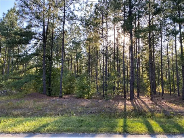 a view of backyard with green space
