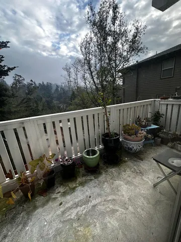 a view of a backyard with a wooden fence