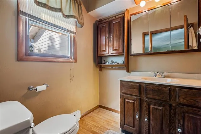 a bathroom with a toilet a sink and mirror