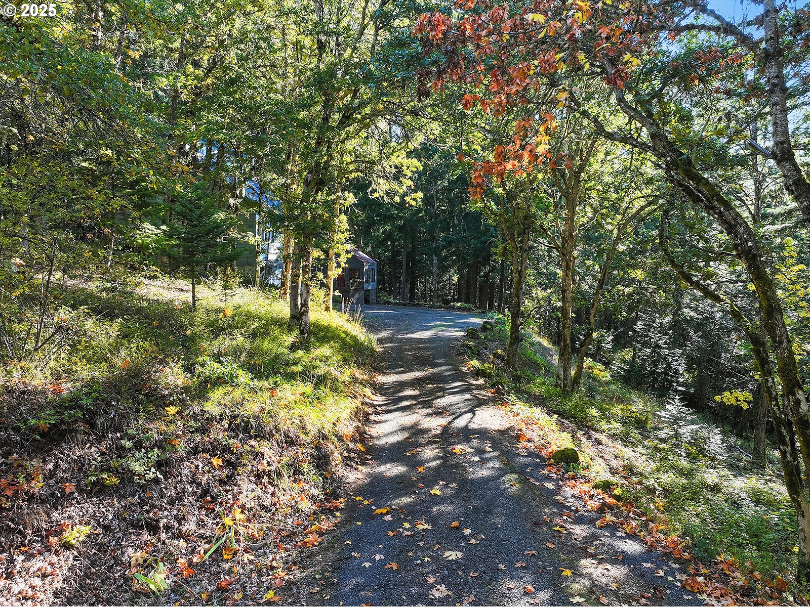 80 Echo Glen Road White Salmon, WA 98672 - Photo 3 of 48 a view of yard