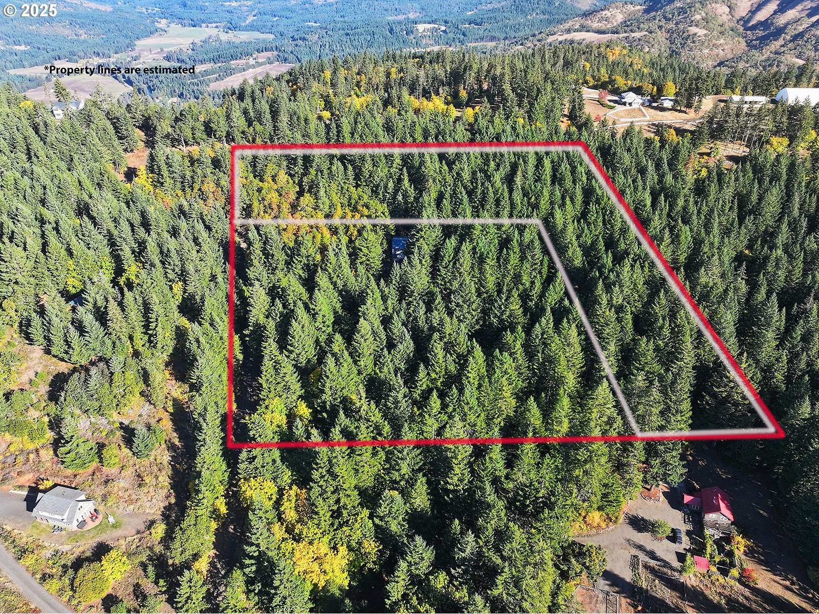 80 Echo Glen Road White Salmon, WA 98672 - Photo 47 of 48 a view of statue in a garden