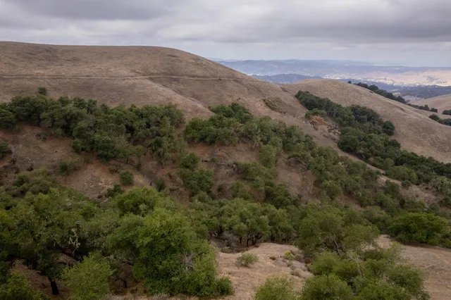 a view of a city with mountains in the background