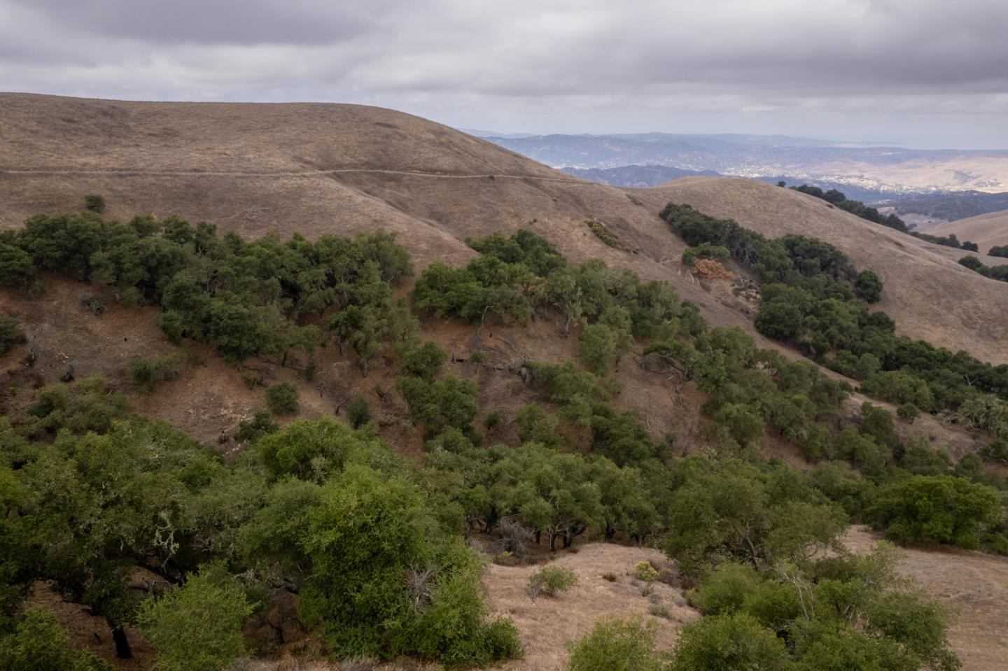 367 San Benancio Road Salinas, CA 93908 - Photo 20 of 29 a view of a city with mountains in the background