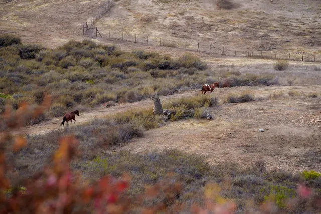 a view of a dry field