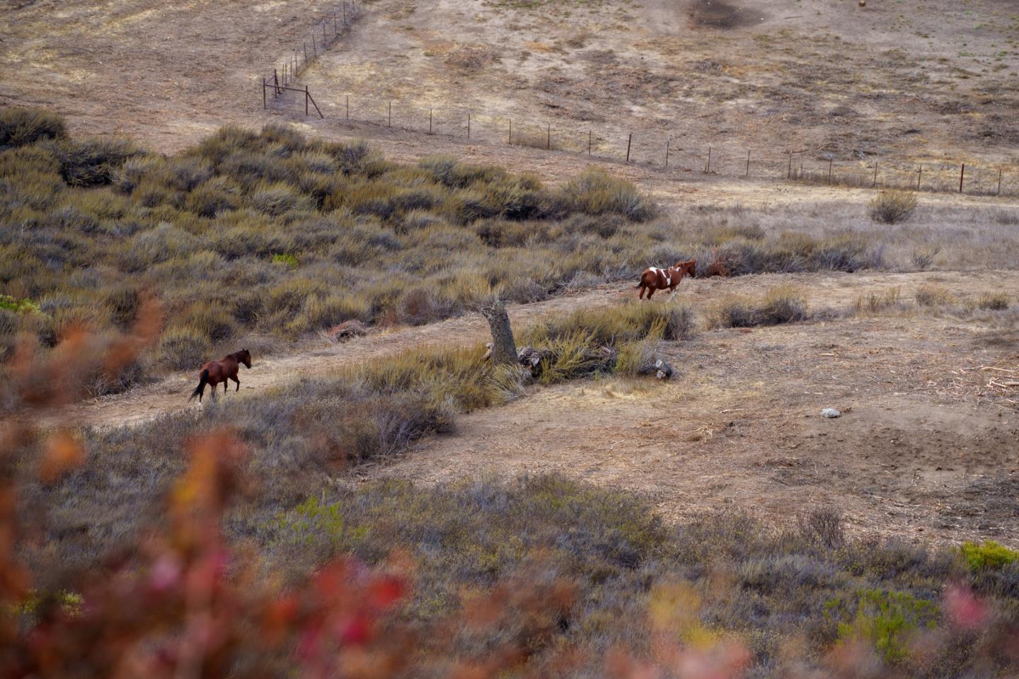 367 San Benancio Road Salinas, CA 93908 - Photo 22 of 29 a view of a dry field