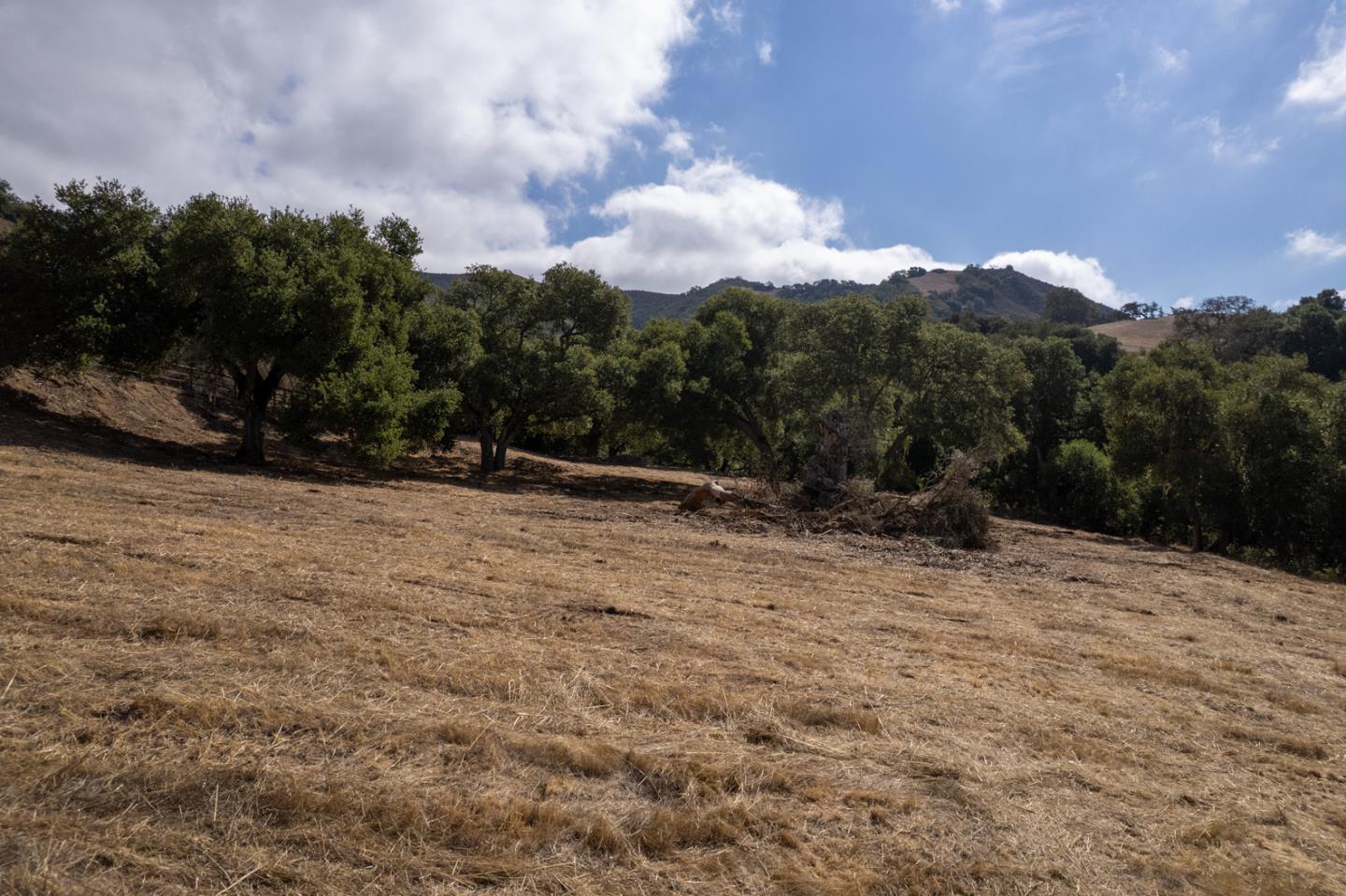367 San Benancio Road Salinas, CA 93908 - Photo 27 of 29 a view of outdoor space with city view