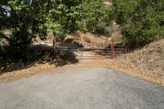 a view of a yard with trees