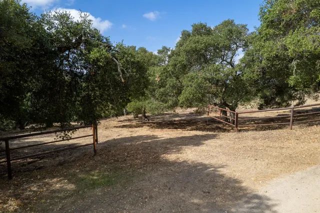 a view of a yard with a tree