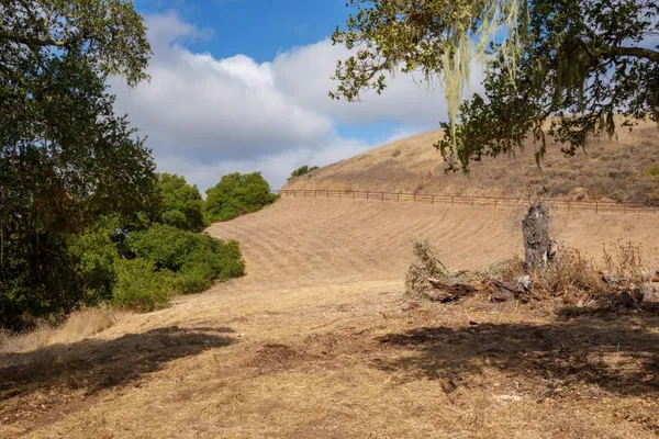 a view of a dry yard with trees