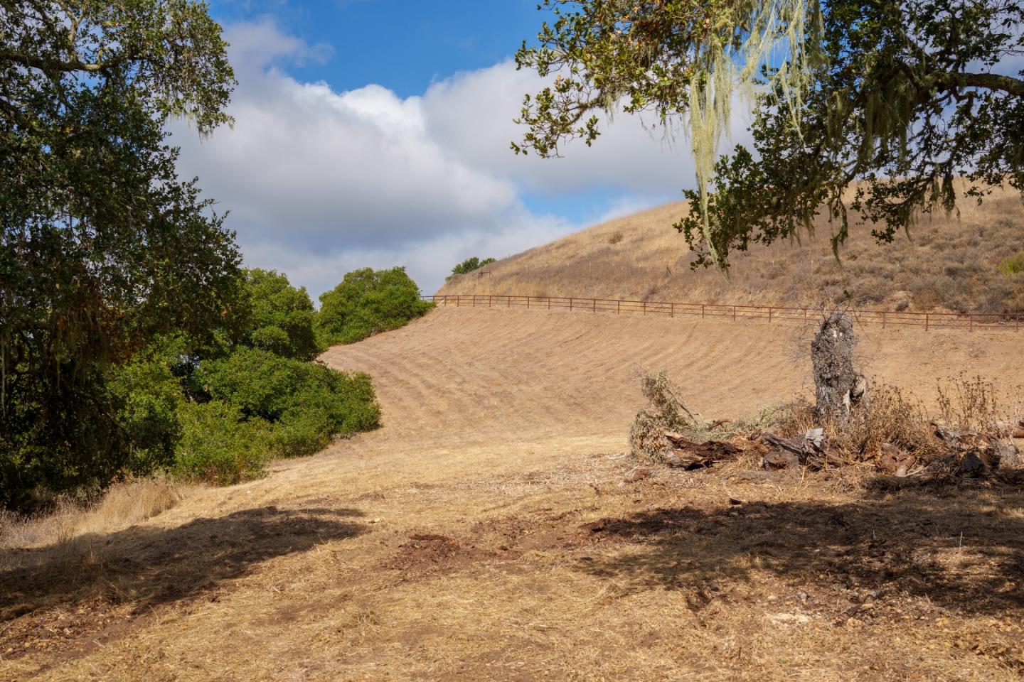 367 San Benancio Road Salinas, CA 93908 - Photo 7 of 29 a view of a dry yard with trees