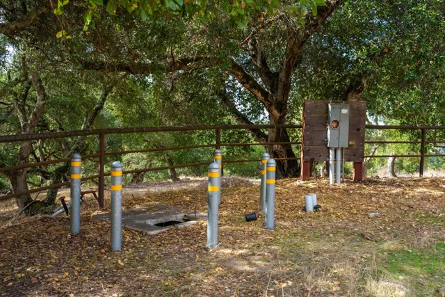 a view of road with large trees