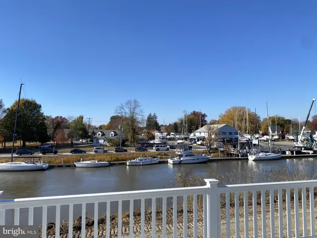 a view of a lake with boats and trees in the background