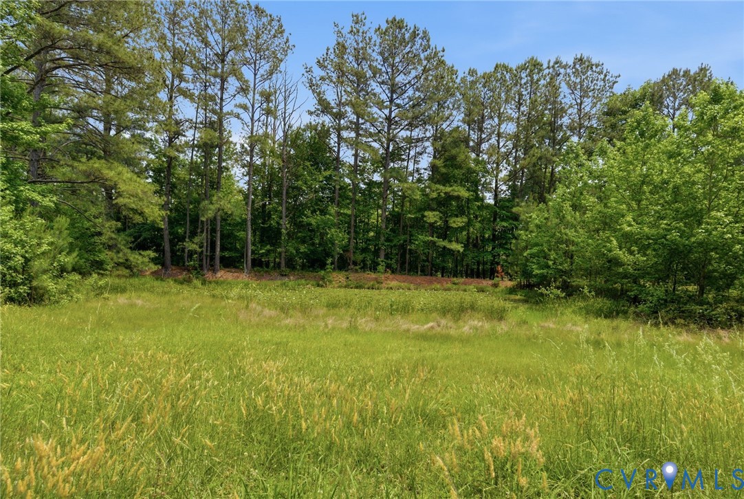 11641 Coalboro Road Chesterfield, VA 23838 - Photo 39 of 42