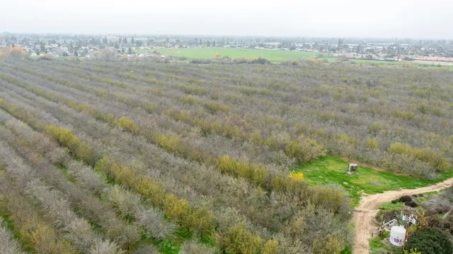 a view of an outdoor space and a yard