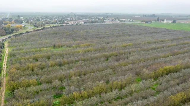 a view of an ocean beach