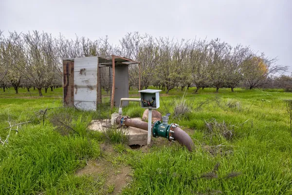 a view of a two chairs in a yard