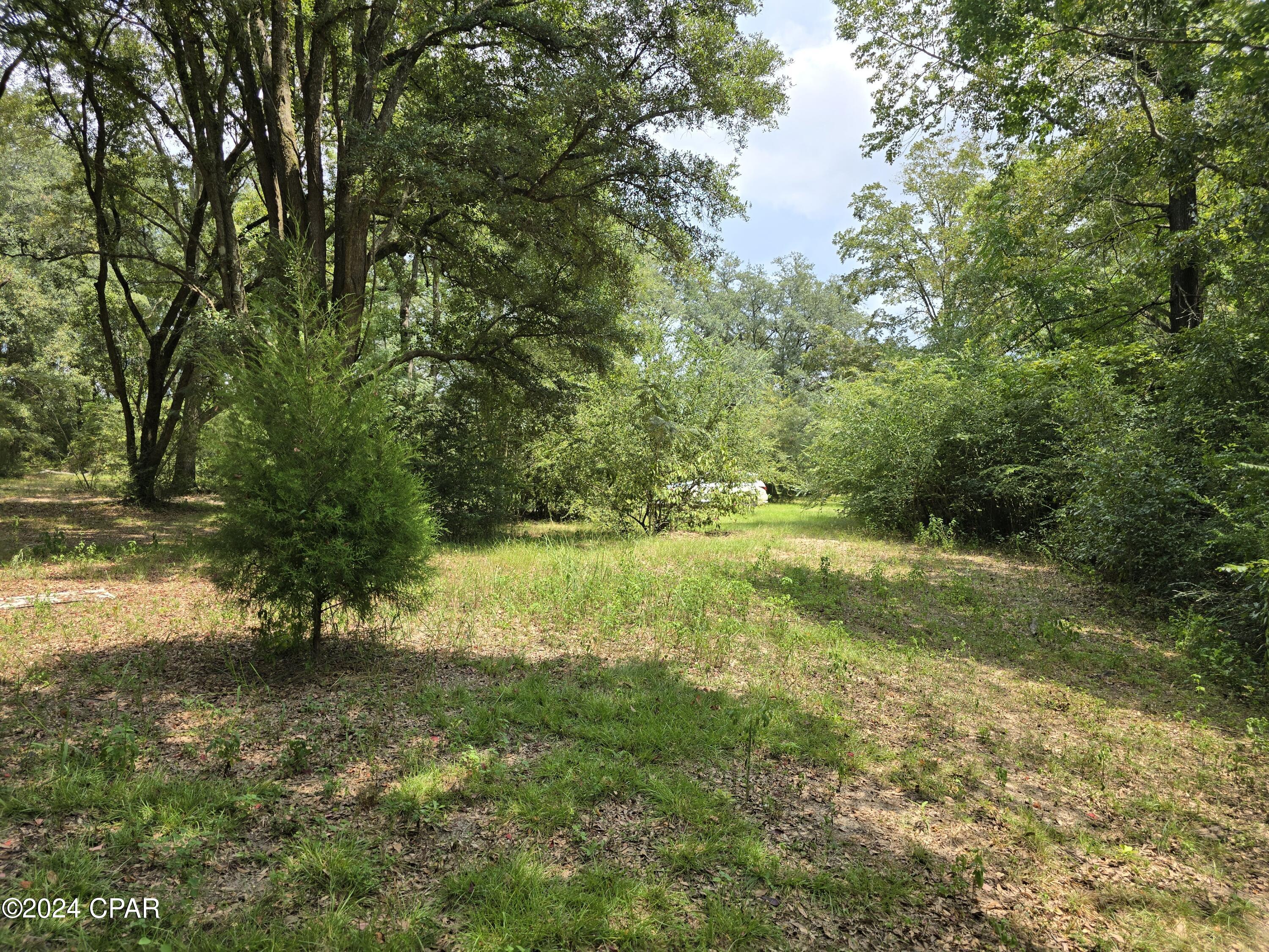 2412 J W Miller Road Bonifay, FL 32425 - Photo 29 of 42 Gallery Image 29