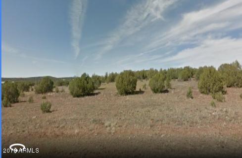 3204 Double A Ranch Road, Unit 351 Williams, AZ 86046 - Photo 1 of 2 Ash Fork 2