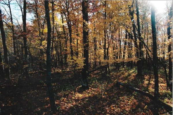 $45,000 | Tbd Gateway Road, Garrison, MN 56450