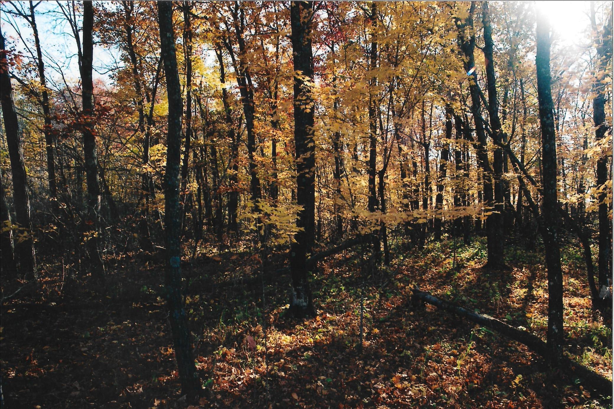 Tbd Gateway Road Garrison, MN 56450 - Photo 5 of 7