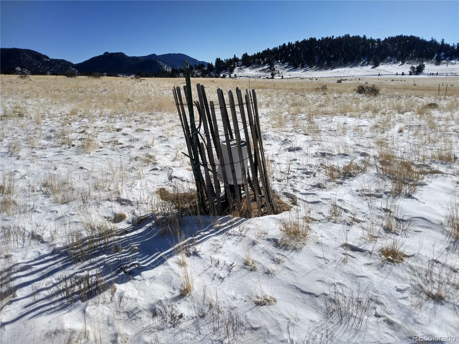 7320 Jefferson Road Lake George, CO 80827 - Photo 2 of 12