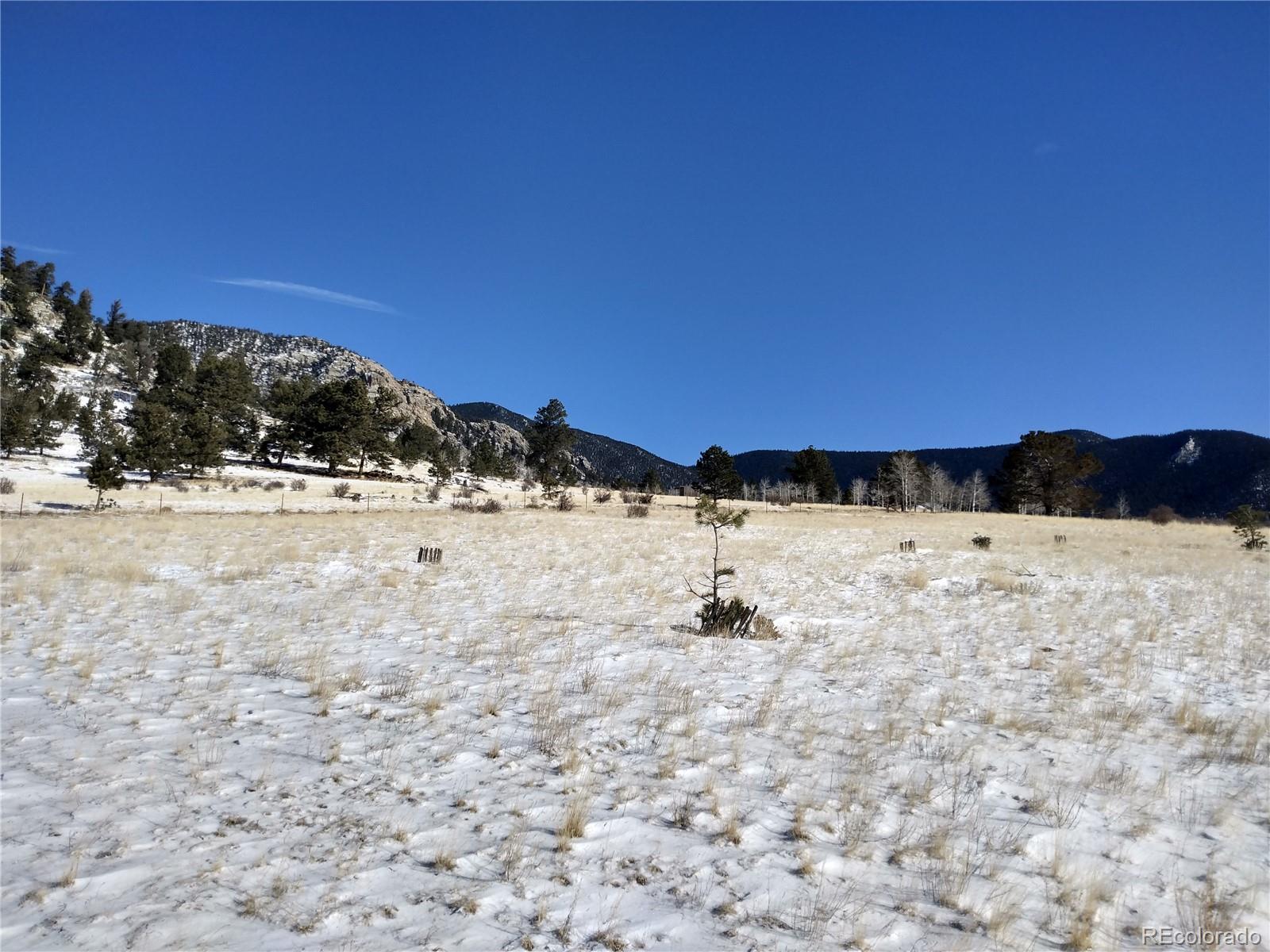 7320 Jefferson Road Lake George, CO 80827 - Photo 8 of 12 a view of a yard with a snow