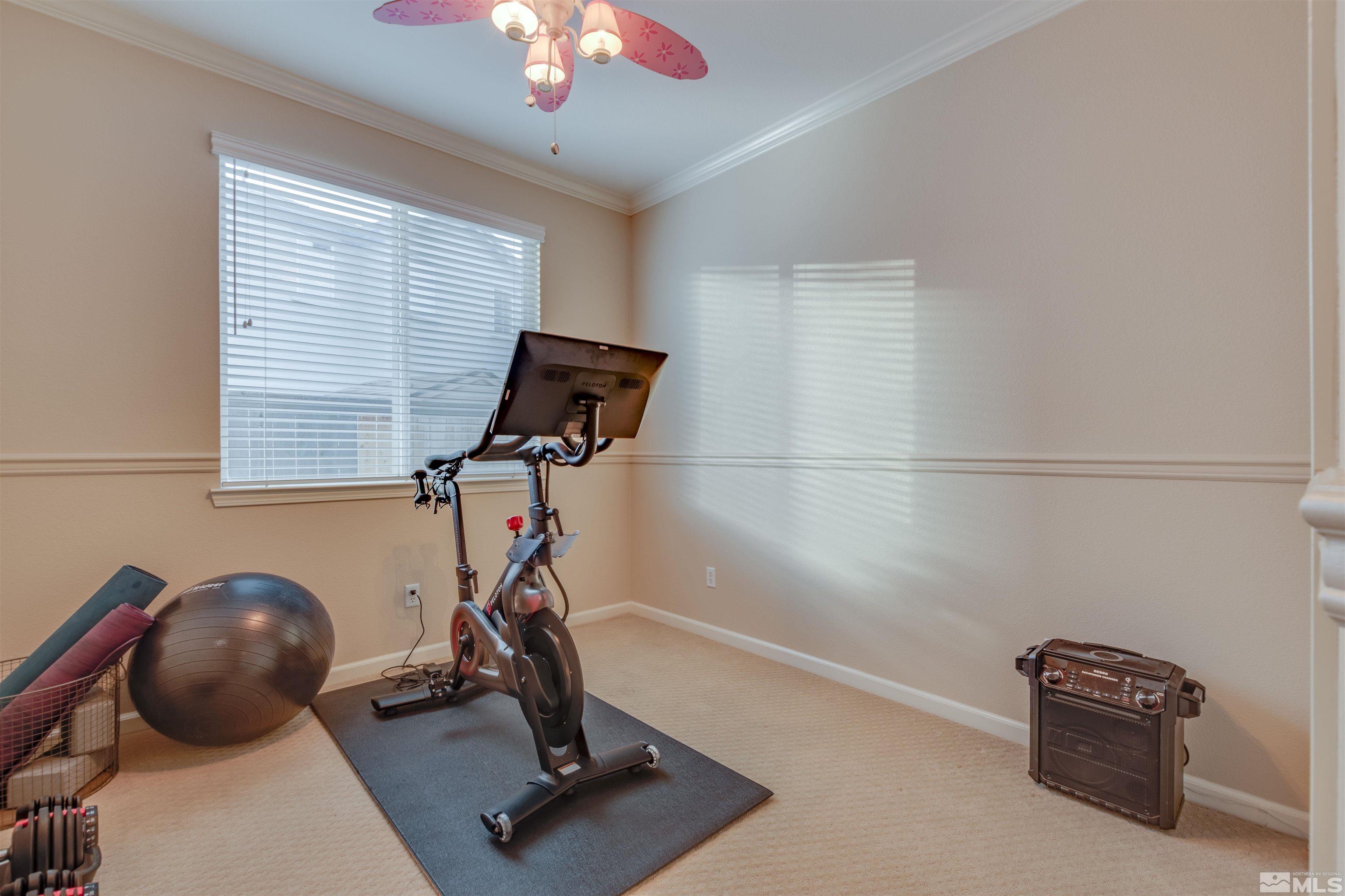 450 Haleb Court Reno, NV 89521 - Photo 26 of 31 a room with gym equipment and windows