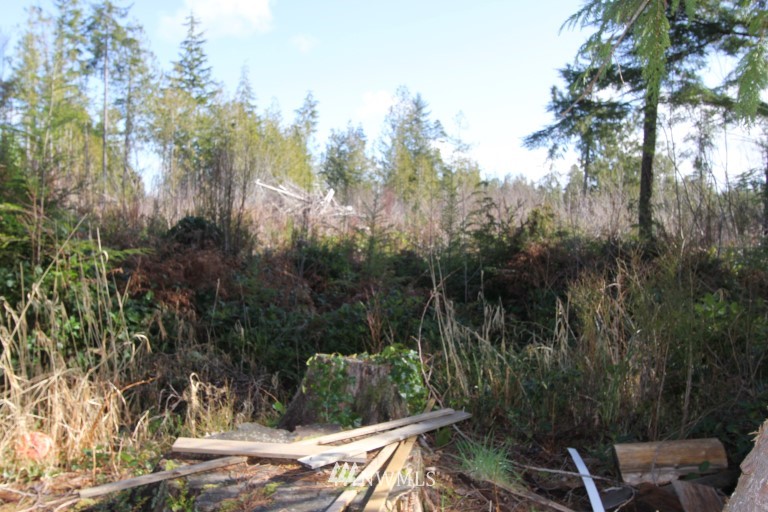 2060 Ocean Beach Road Copalis Crossing, WA 98536 - Photo 5 of 9 Gallery Image 5