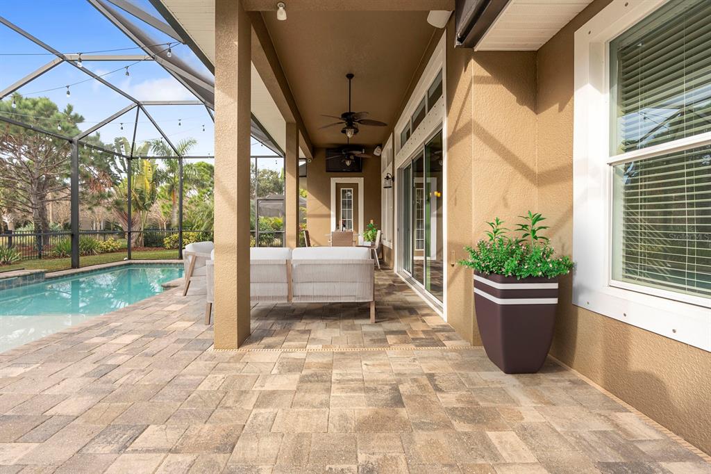 6809 Scenic Drive Apollo Beach, FL 33572 - Photo 20 of 94