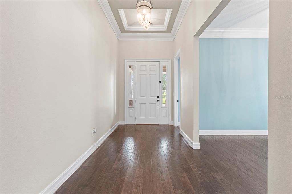 6809 Scenic Drive Apollo Beach, FL 33572 - Photo 51 of 94