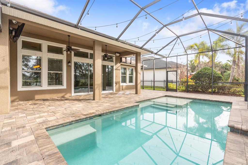 6809 Scenic Drive Apollo Beach, FL 33572 - Photo 77 of 94