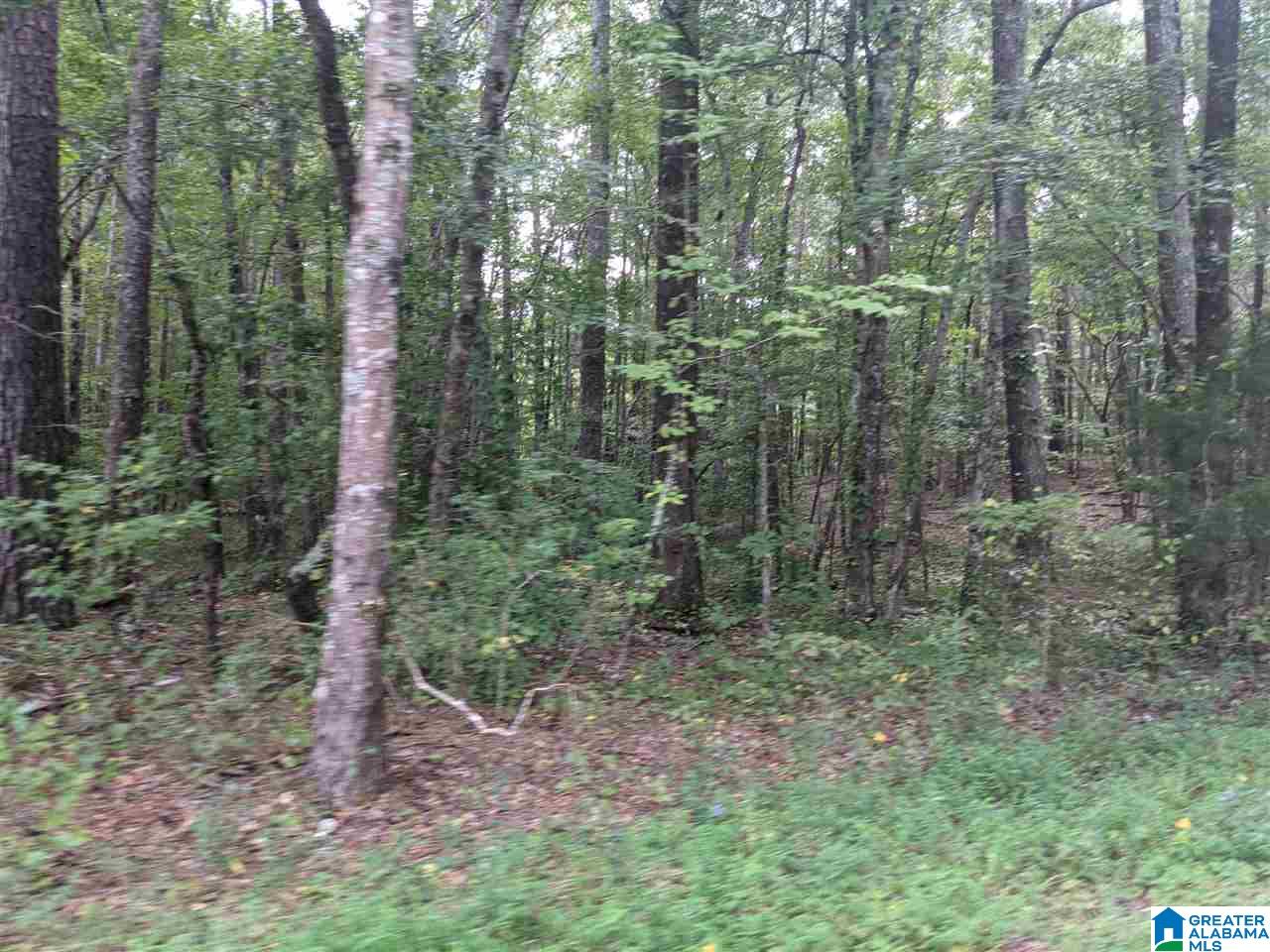 0 Smith Avenue, Unit 3 2 Anniston, AL 36207 - Photo 30 of 43