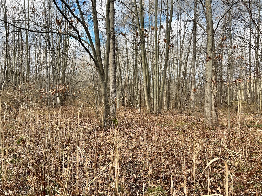 1291 Old Kyle Road Dorset, OH 44032 - Photo 9 of 21