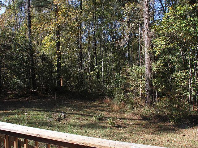 152 Stagecrest Drive Raleigh, NC 27603 - Photo 11 of 14 a view of a yard